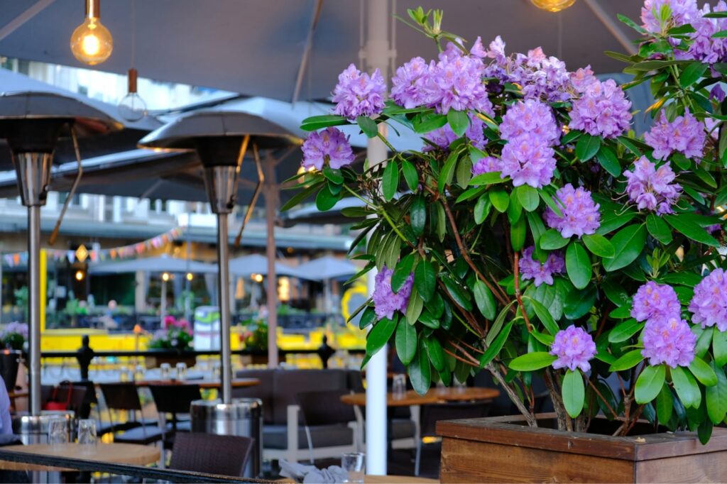Uteservering bord, stolar, blommor Iberico